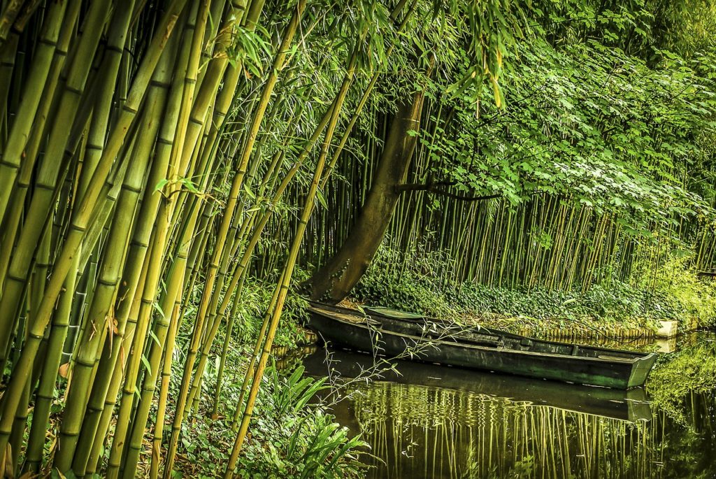 bamboo, boat, vietnamese