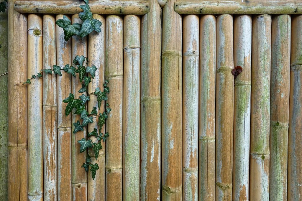bamboo fence, fence,